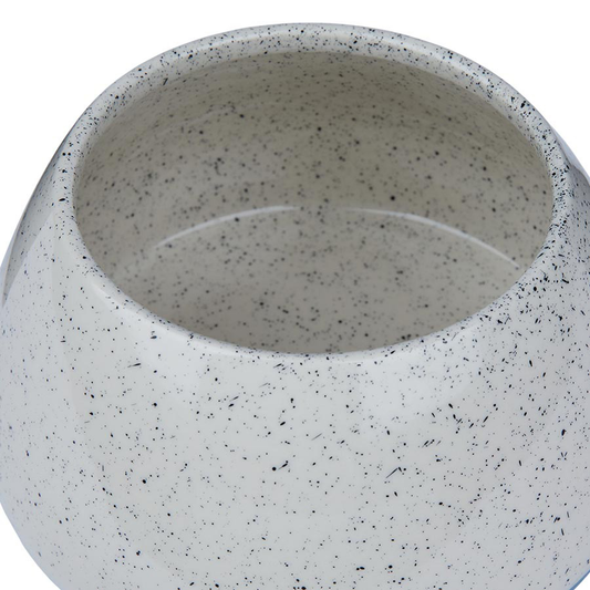 Paws Mingle Blue Long-Ear Dog Food Bowl